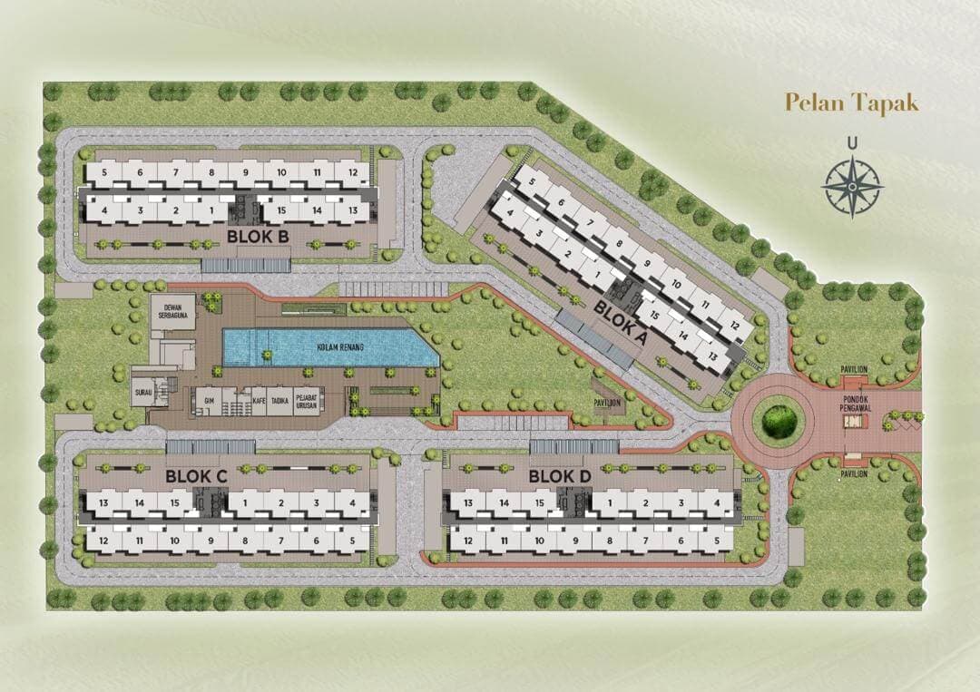 Layout 1